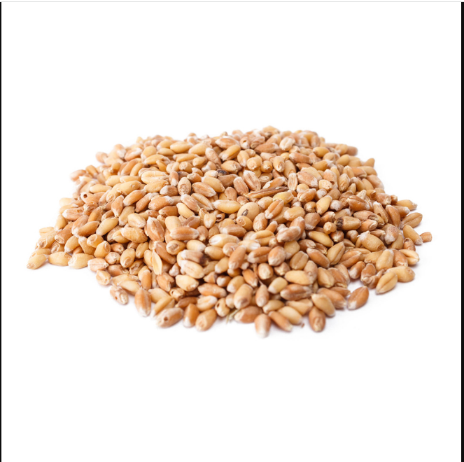 Wheat Stalks